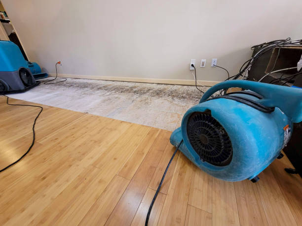 Professional Sewage Cleanup technician working in New London, NC